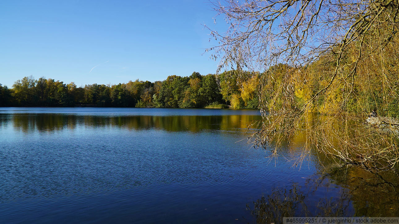 Baumgarte GmbH aus Langenhagen: Rollladen für Garbsen